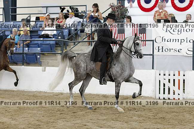 Proof 11r14_3196
