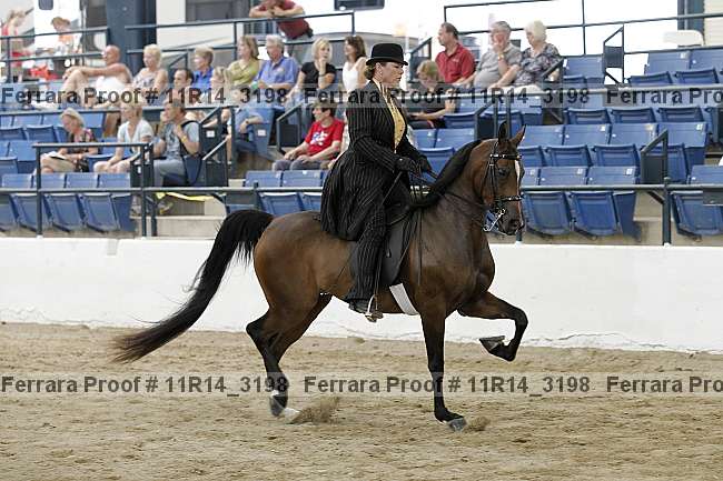 Proof 11r14_3198
