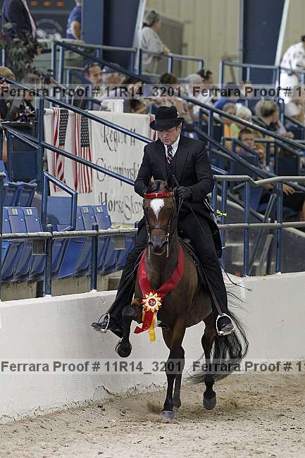 Proof 11r14_3201