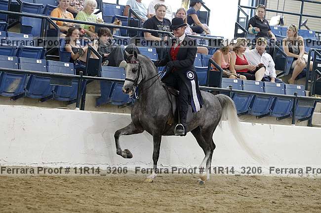 Proof 11r14_3206