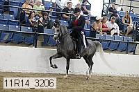 11r14_3206 proof