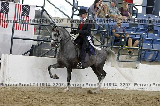 Proof 11r14_3207