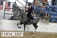11r14_3207 proof