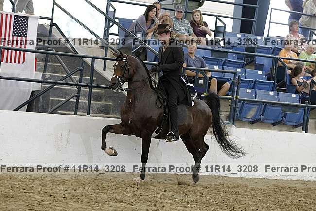 Proof 11r14_3208