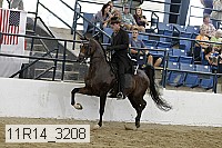 11r14_3208 proof