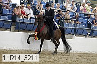 11r14_3211 proof