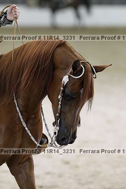 Proof 11r14_3231