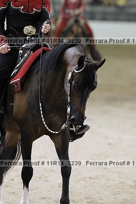 Proof 11r14_3239