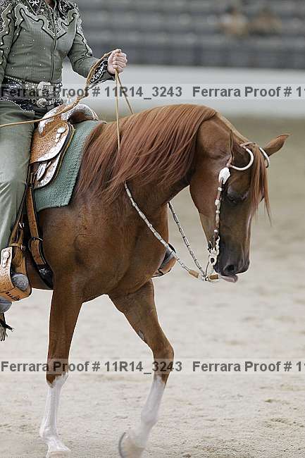 Proof 11r14_3243