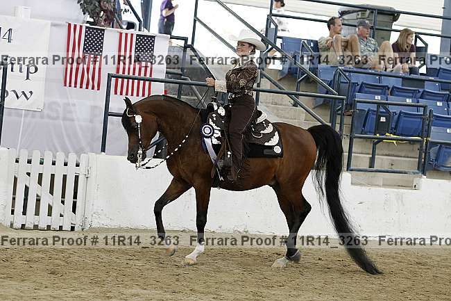 Proof 11r14_3263