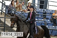 11r14_3313 proof