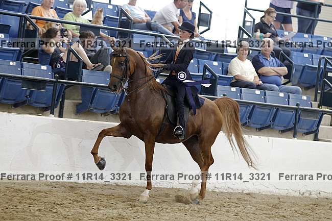 Proof 11r14_3321