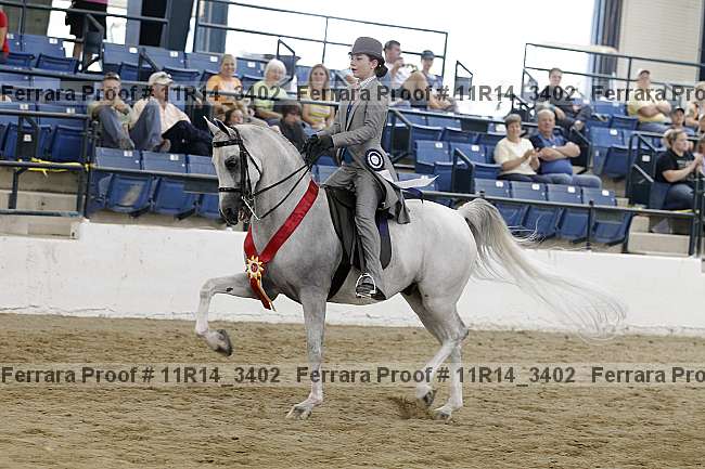 Proof 11r14_3402