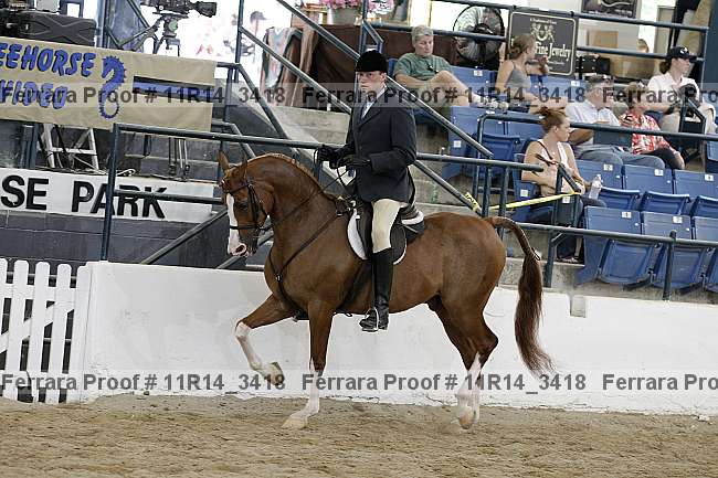 Proof 11r14_3418