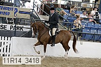 11r14_3418 proof