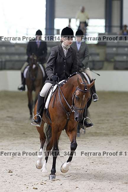 Proof 11r14_3441