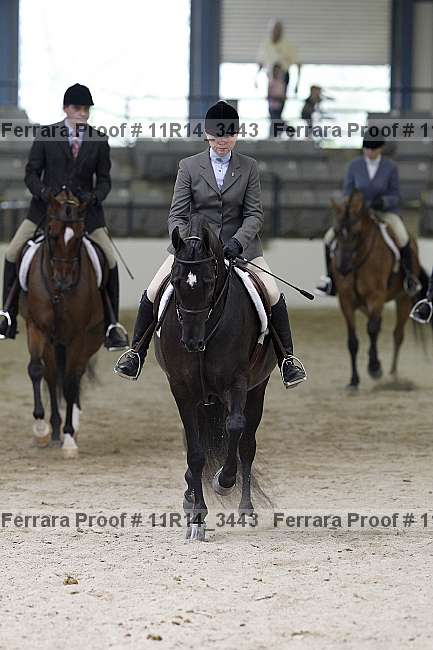 Proof 11r14_3443