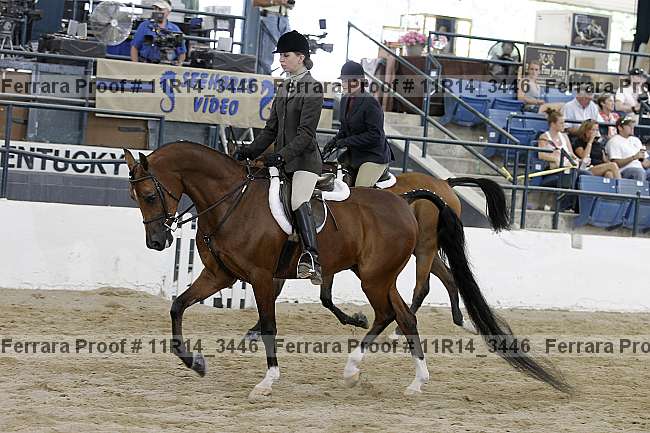 Proof 11r14_3446