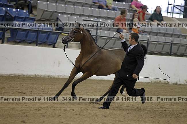 Proof 11r14_3496