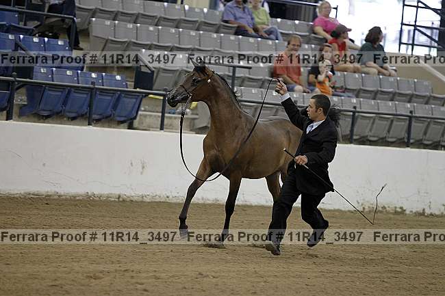 Proof 11r14_3497