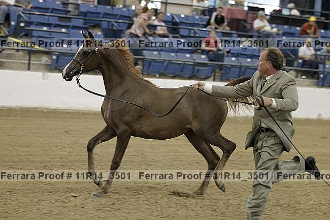 Proof 11r14_3501