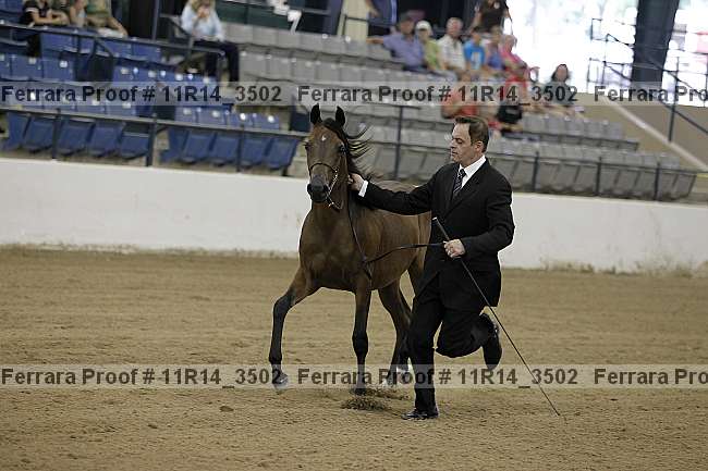 Proof 11r14_3502