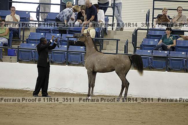 Proof 11r14_3511