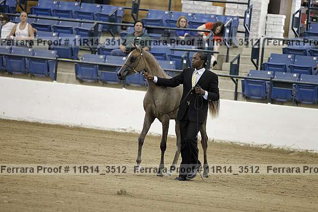 Proof 11r14_3512