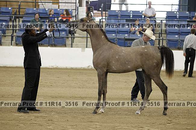 Proof 11r14_3516