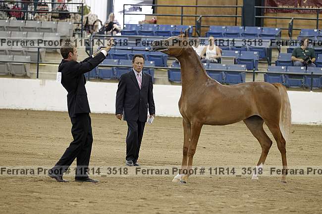 Proof 11r14_3518
