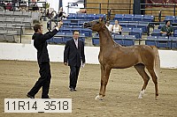 11r14_3518 proof