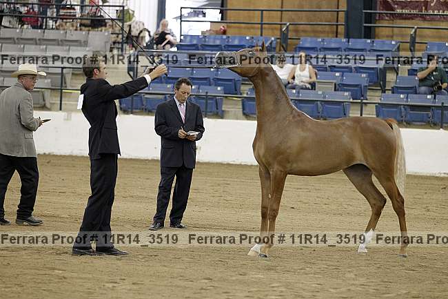Proof 11r14_3519