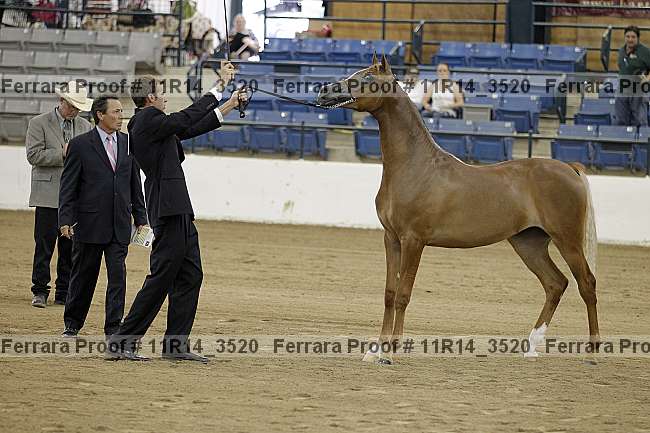 Proof 11r14_3520