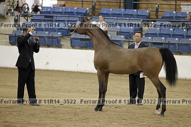 Proof 11r14_3522