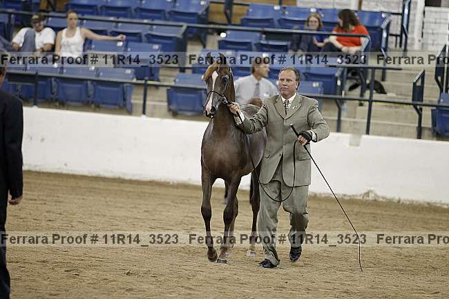 Proof 11r14_3523