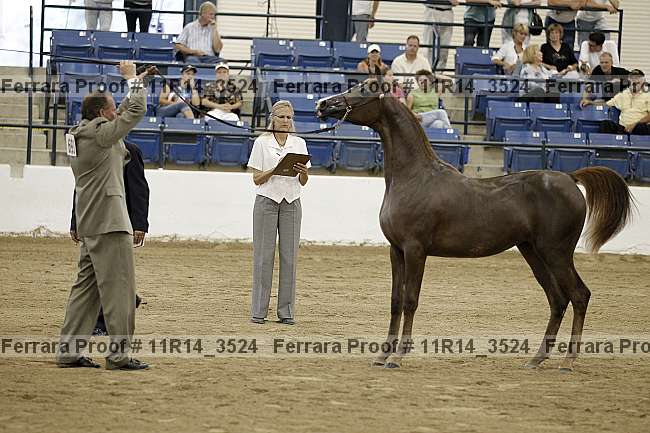 Proof 11r14_3524