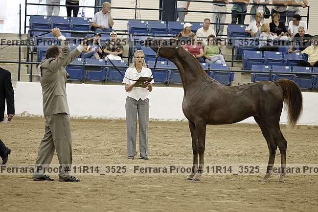 Proof 11r14_3525