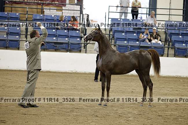 Proof 11r14_3526