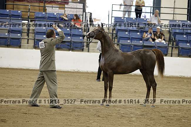 Proof 11r14_3527