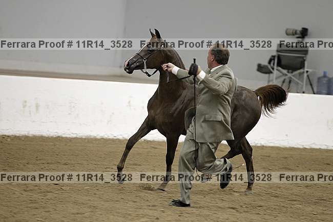 Proof 11r14_3528