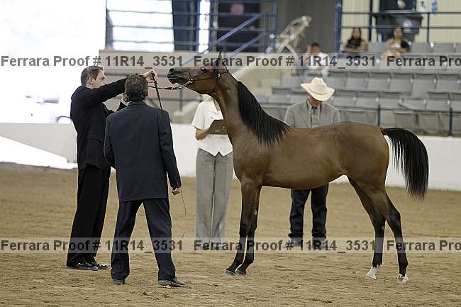 Proof 11r14_3531