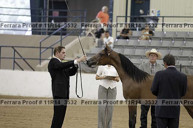 Proof 11r14_3532
