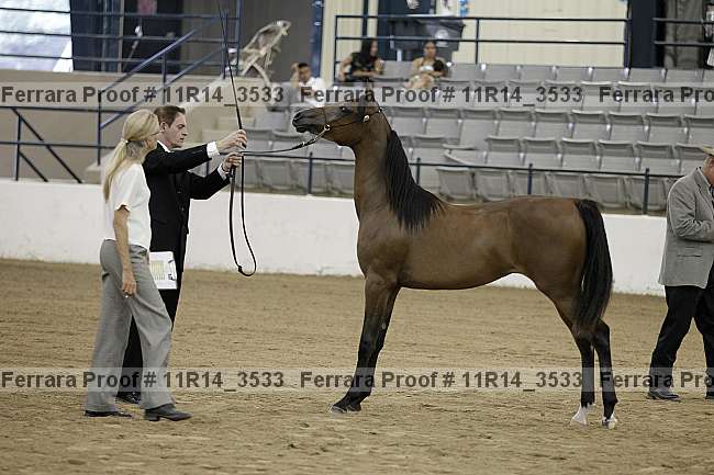 Proof 11r14_3533