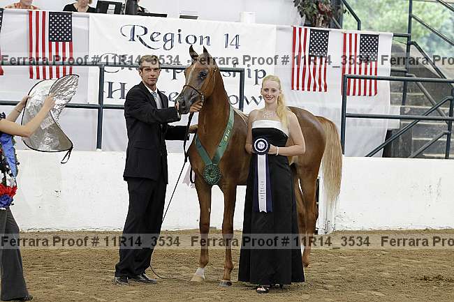 Proof 11r14_3534