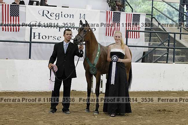 Proof 11r14_3536