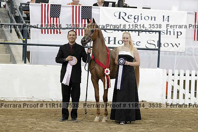 Proof 11r14_3538