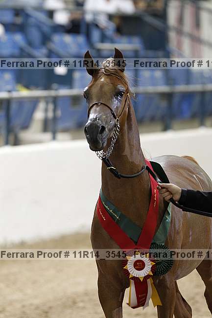 Proof 11r14_3545