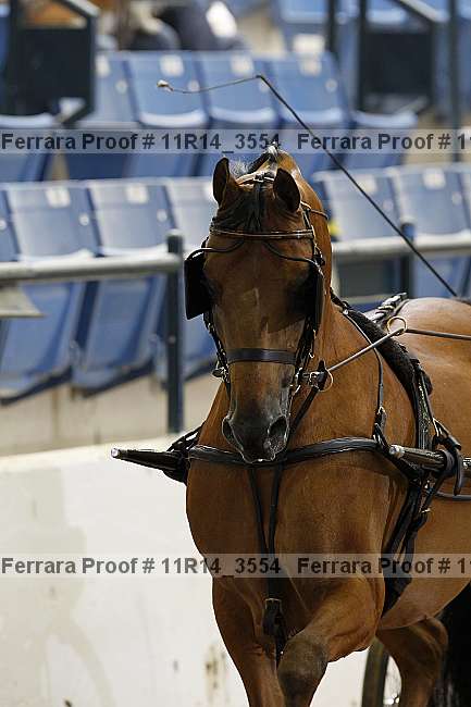 Proof 11r14_3554