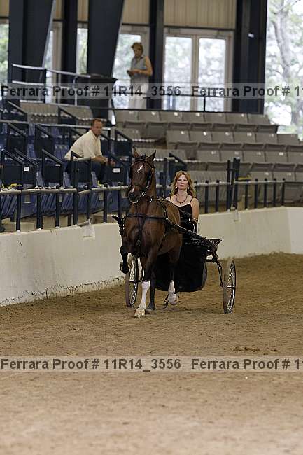 Proof 11r14_3556