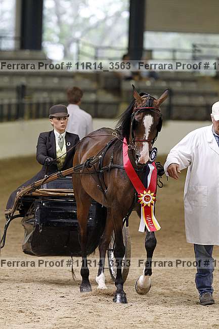 Proof 11r14_3563